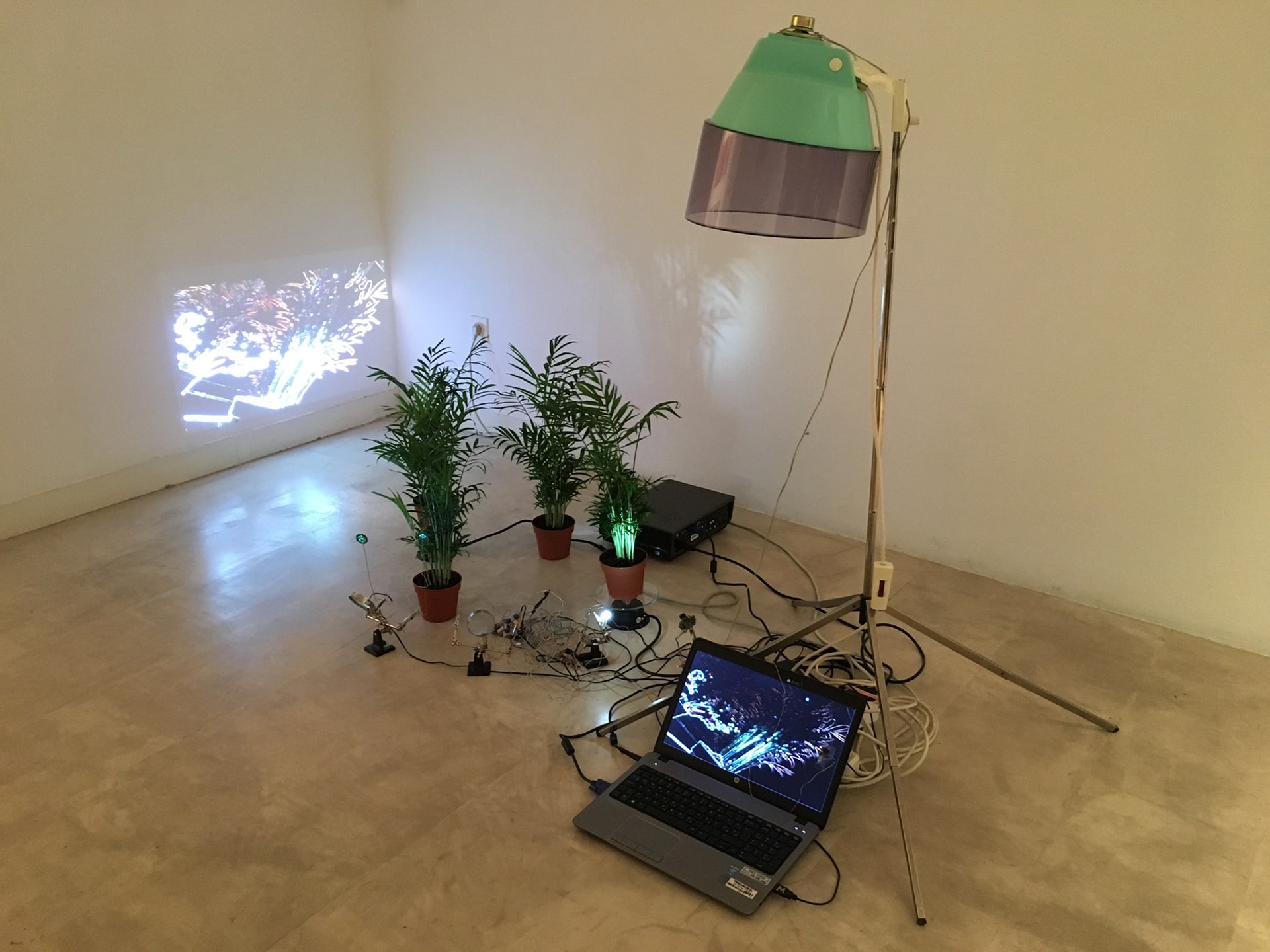 Self-Sustaining System of Absurdity