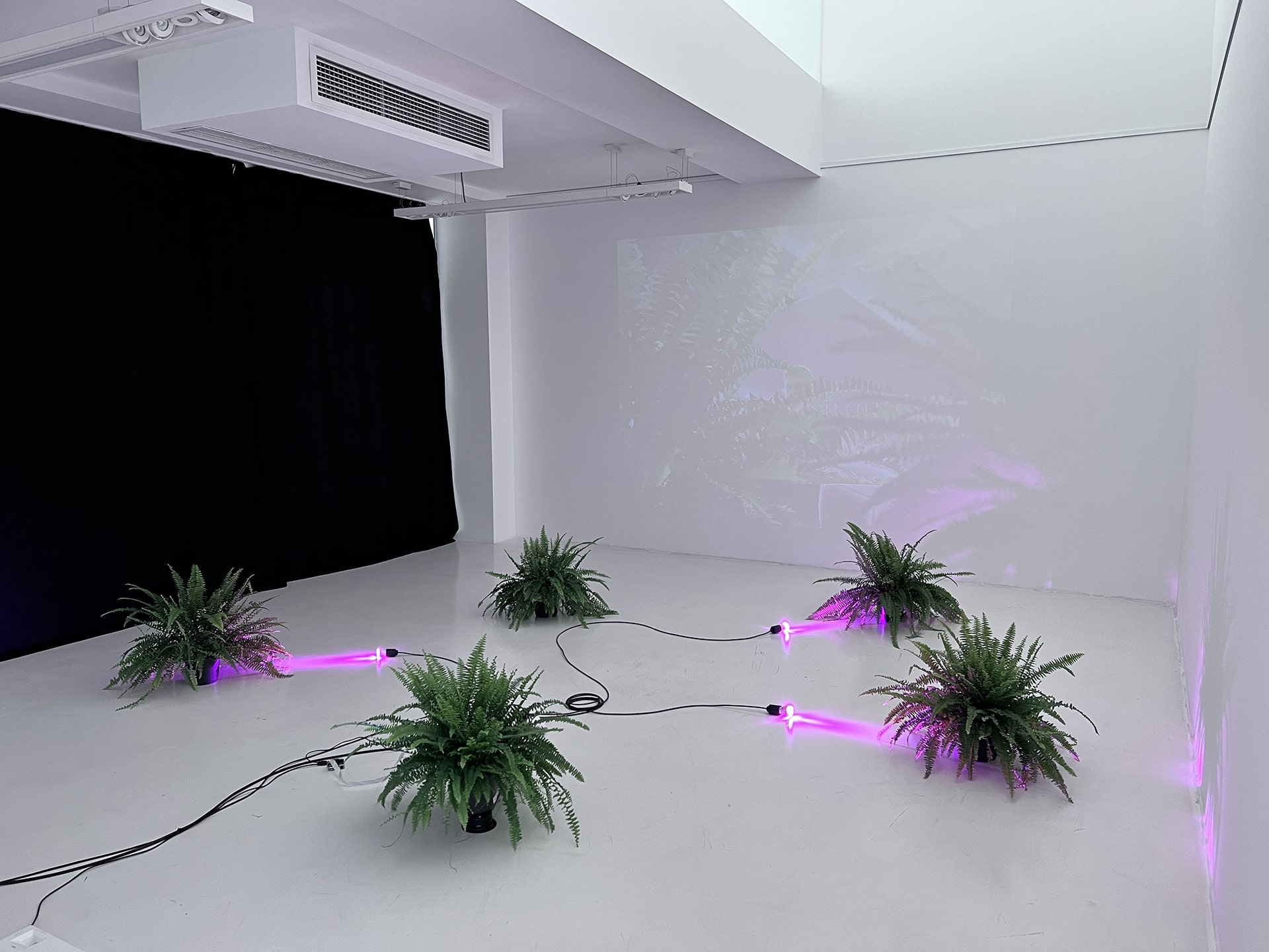 Self-Sustaining System of Absurdity
