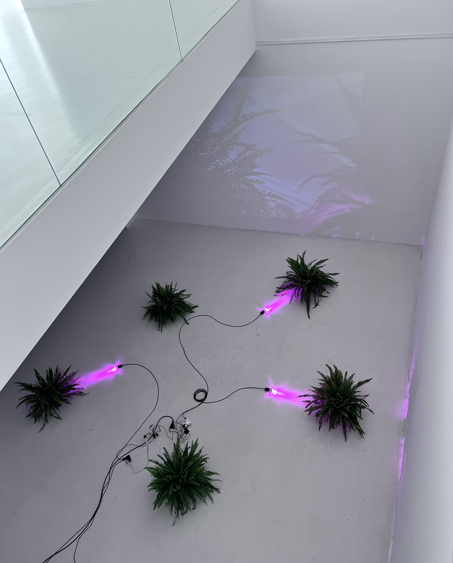 Self-Sustaining System of Absurdity