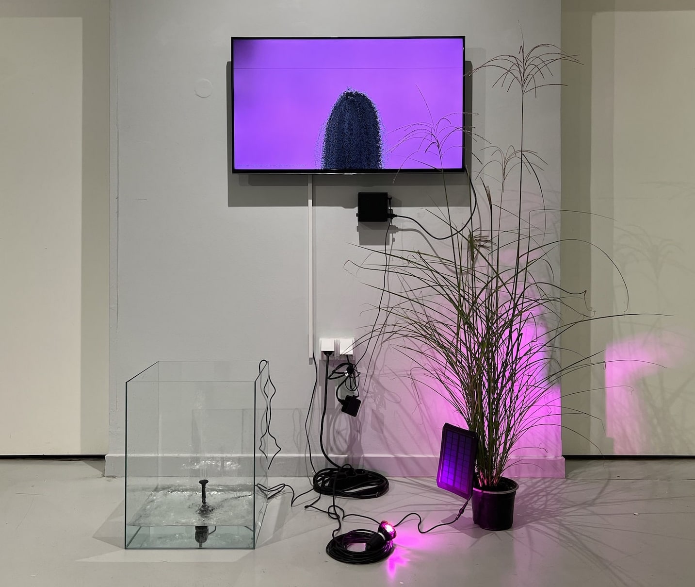 Self-Sustaining System of Absurdity