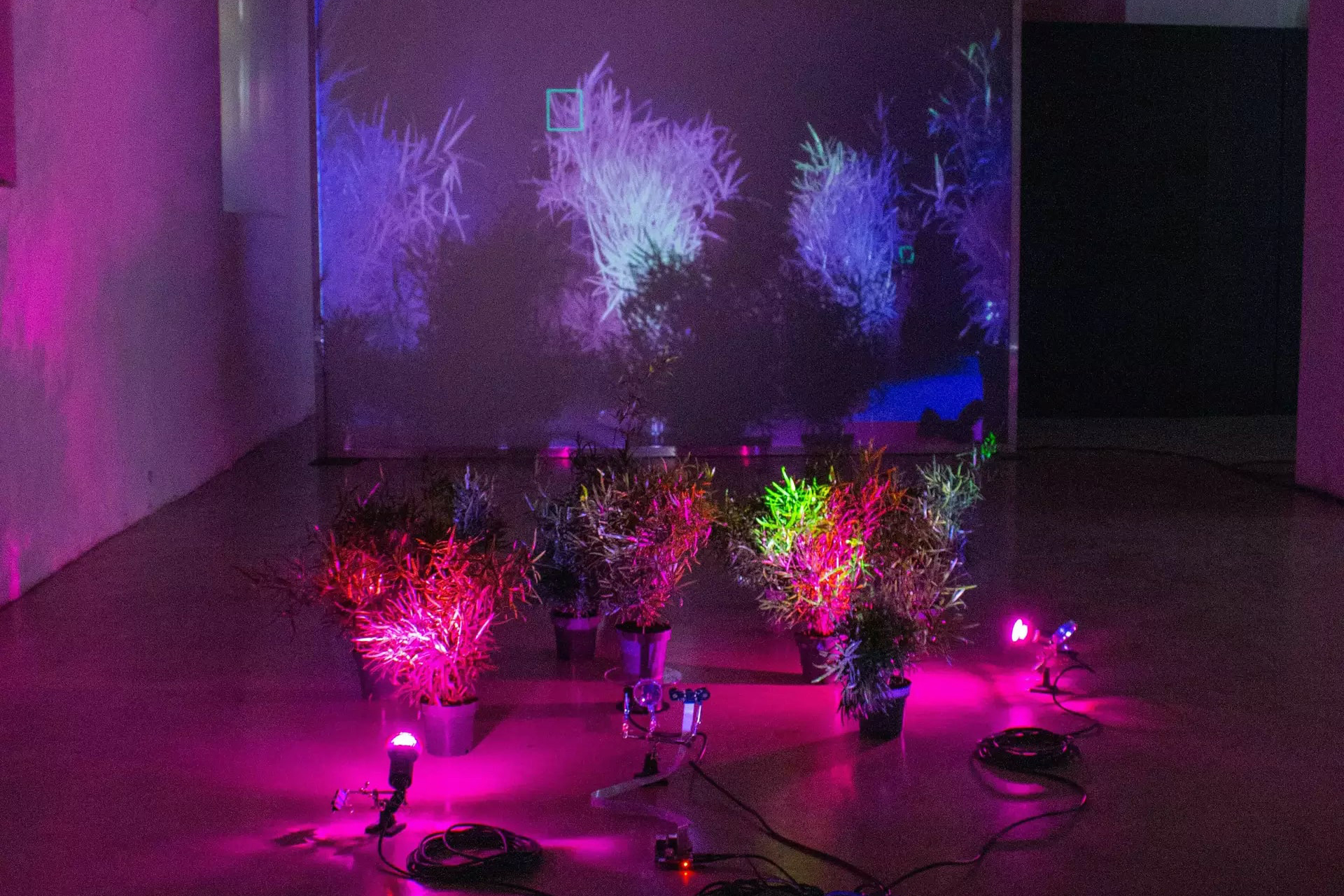 Self-Sustaining System of Absurdity