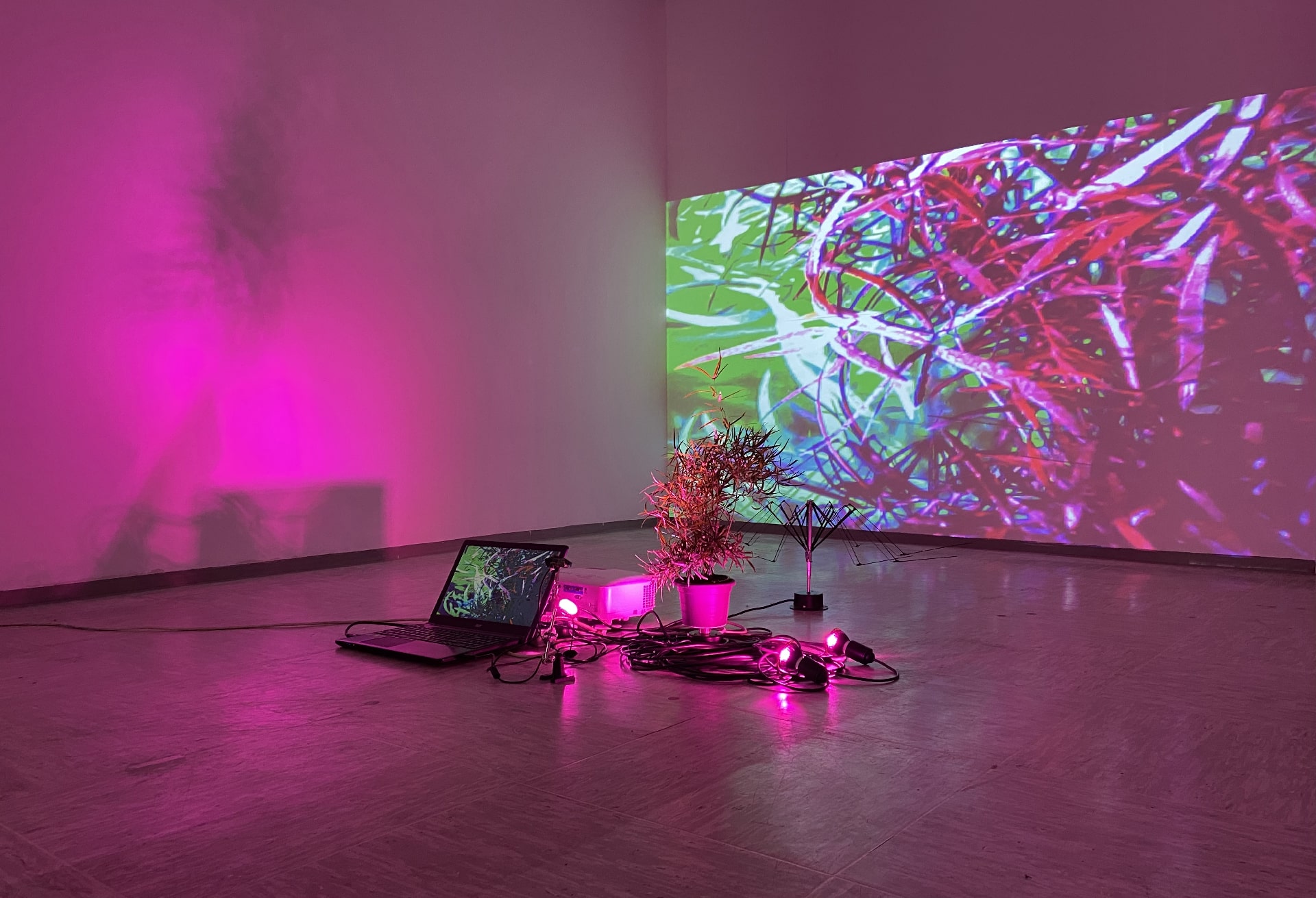 Self-Sustaining System of Absurdity