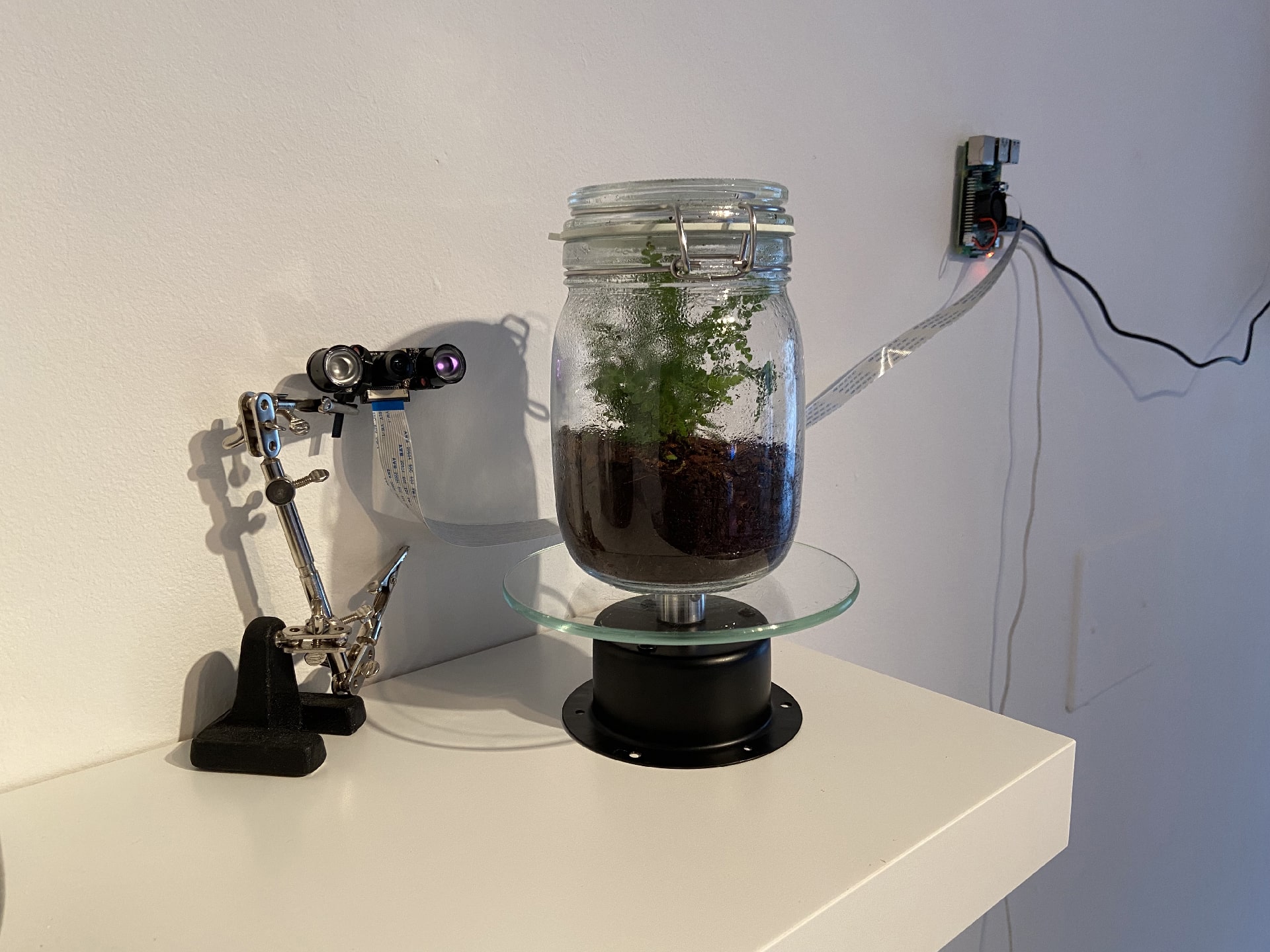 Self-Sustaining System of Absurdity