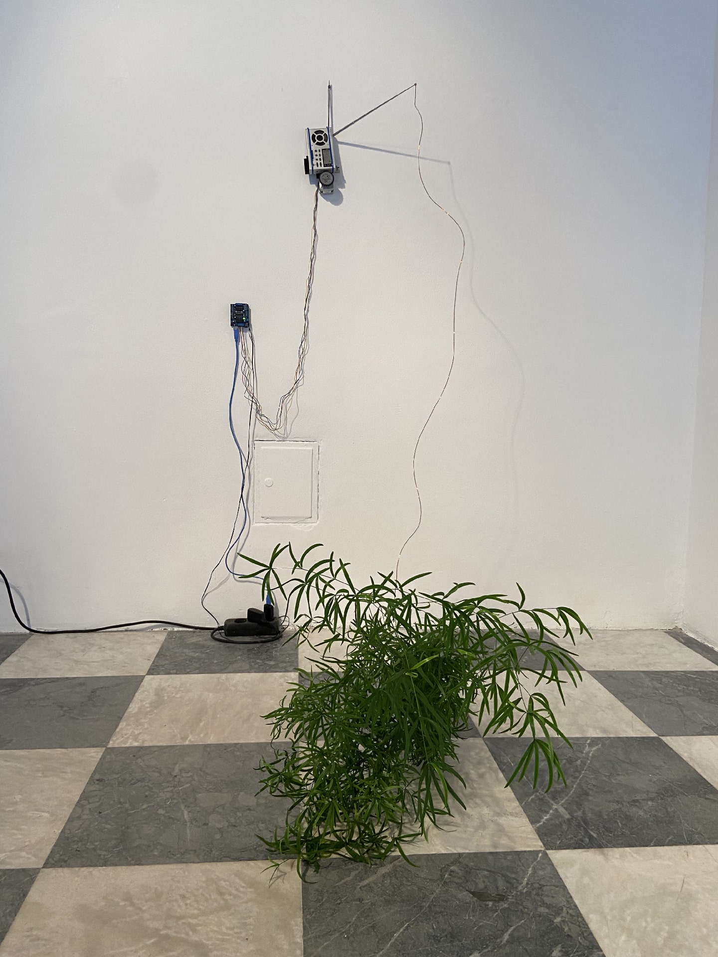 Self-Sustaining System of Absurdity