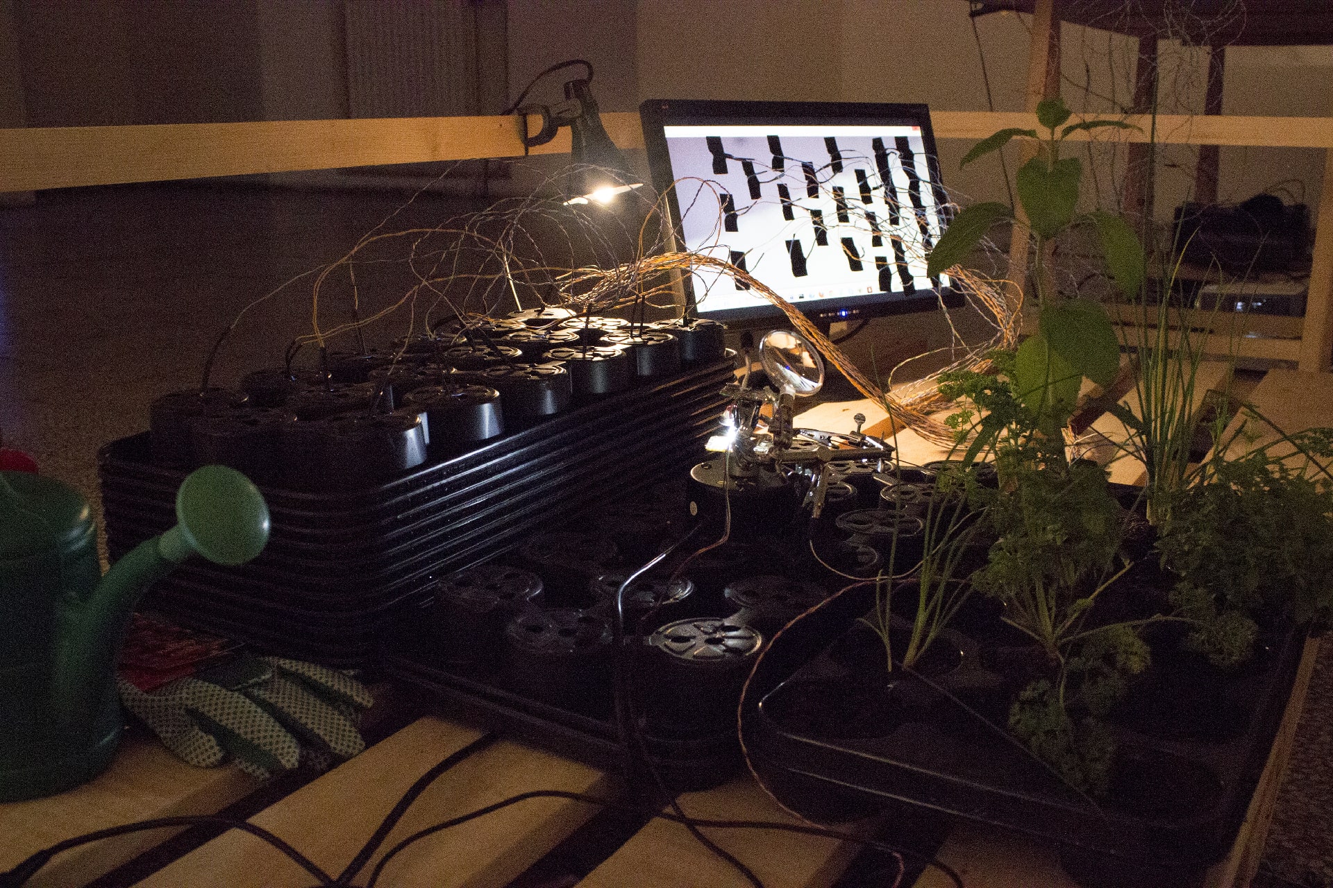 Self-Sustaining System of Absurdity