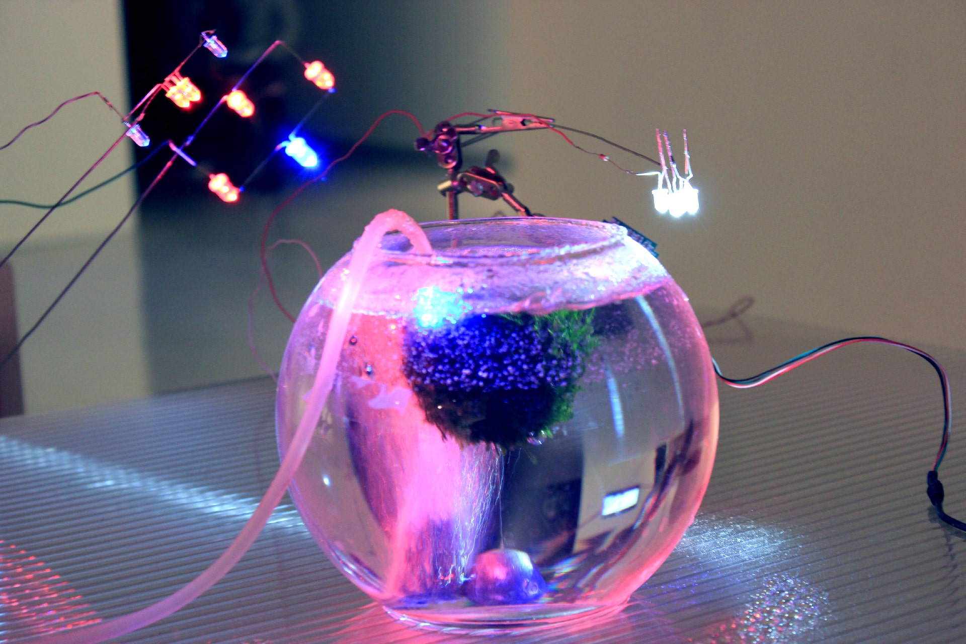 Self-Sustaining System of Absurdity
