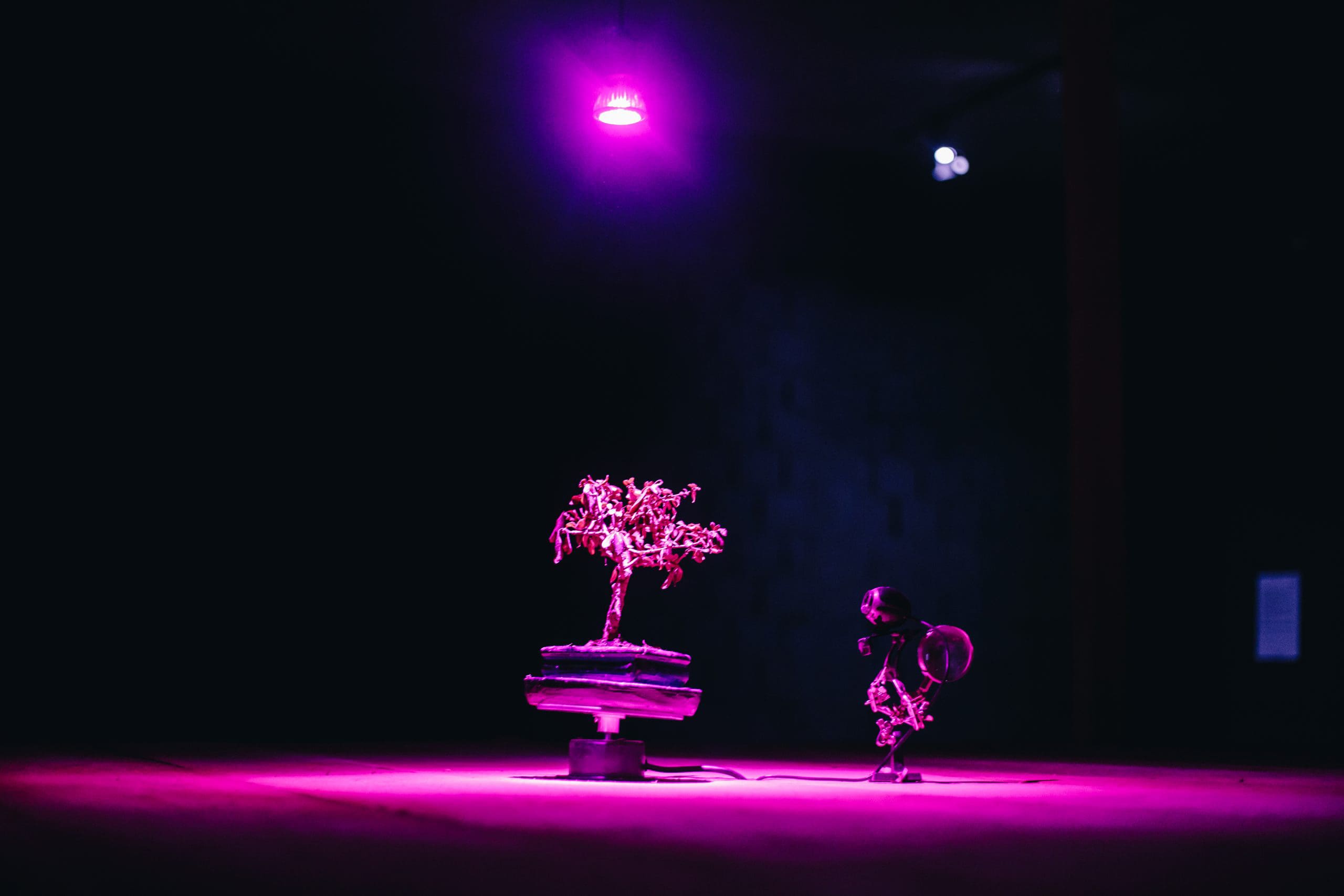 Self-Sustaining System of Absurdity