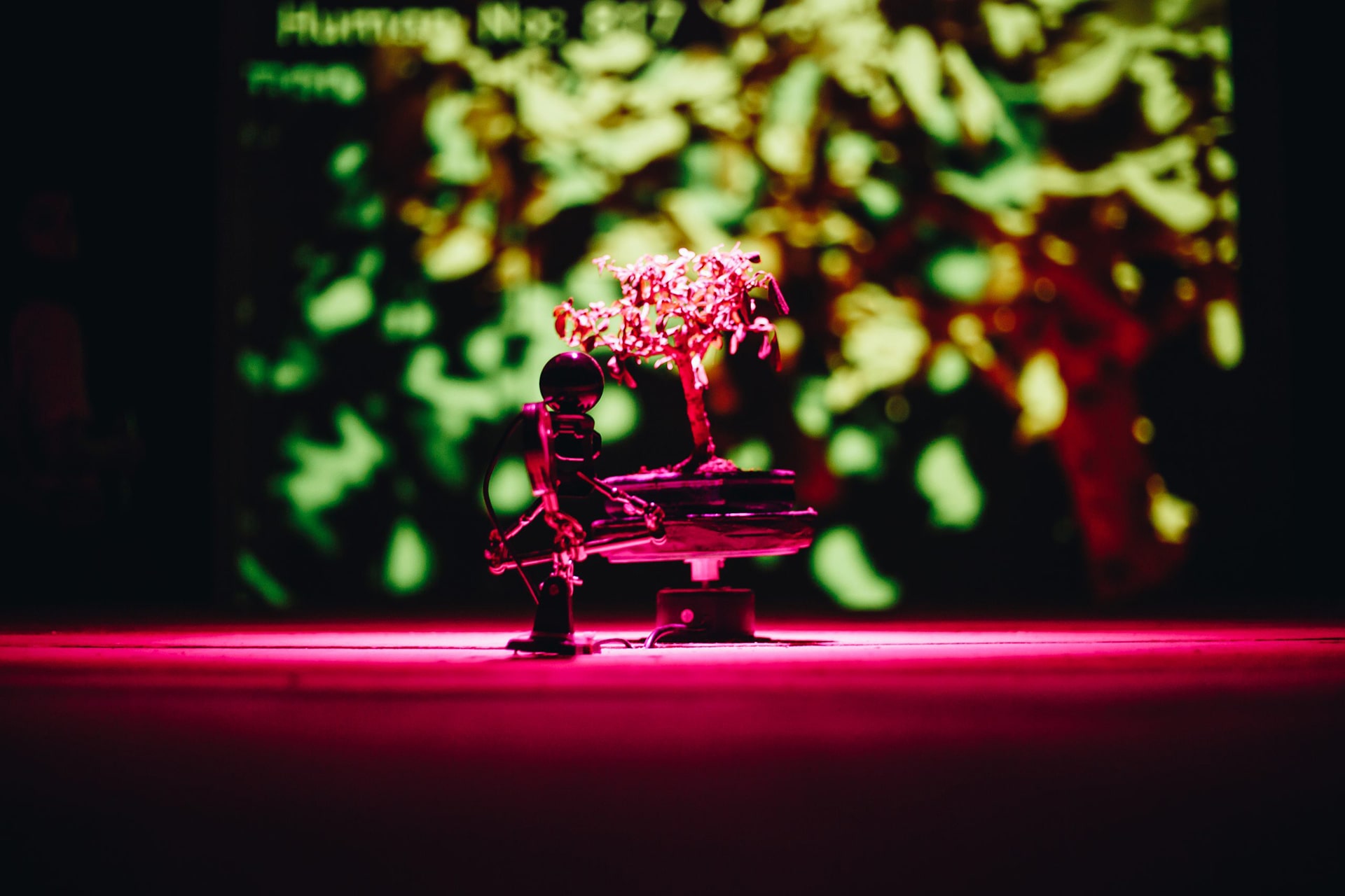 Self-Sustaining System of Absurdity