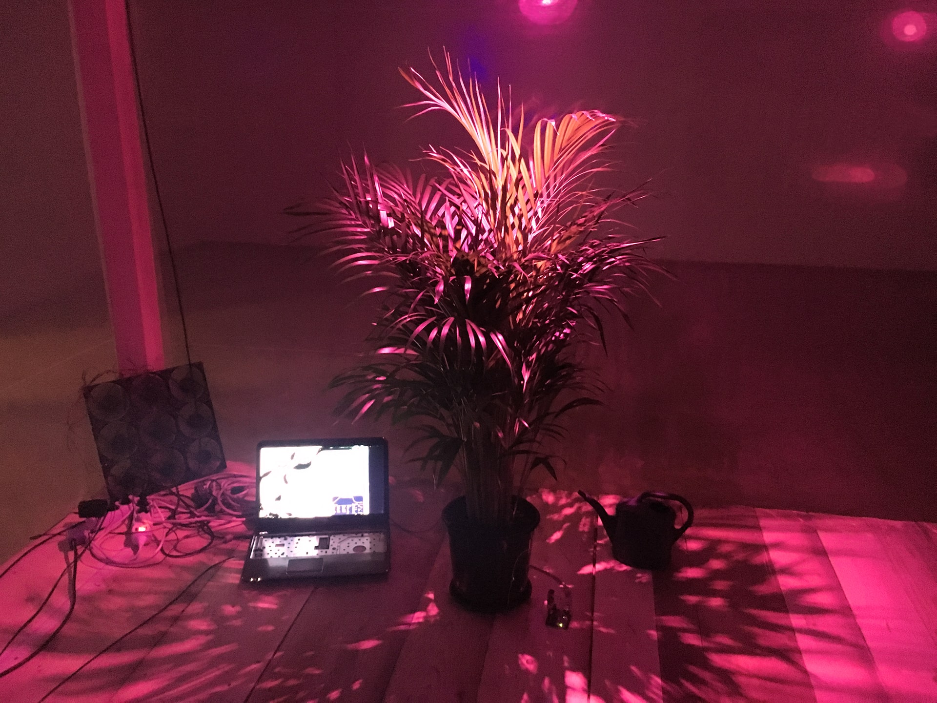 Self-Sustaining System of Absurdity