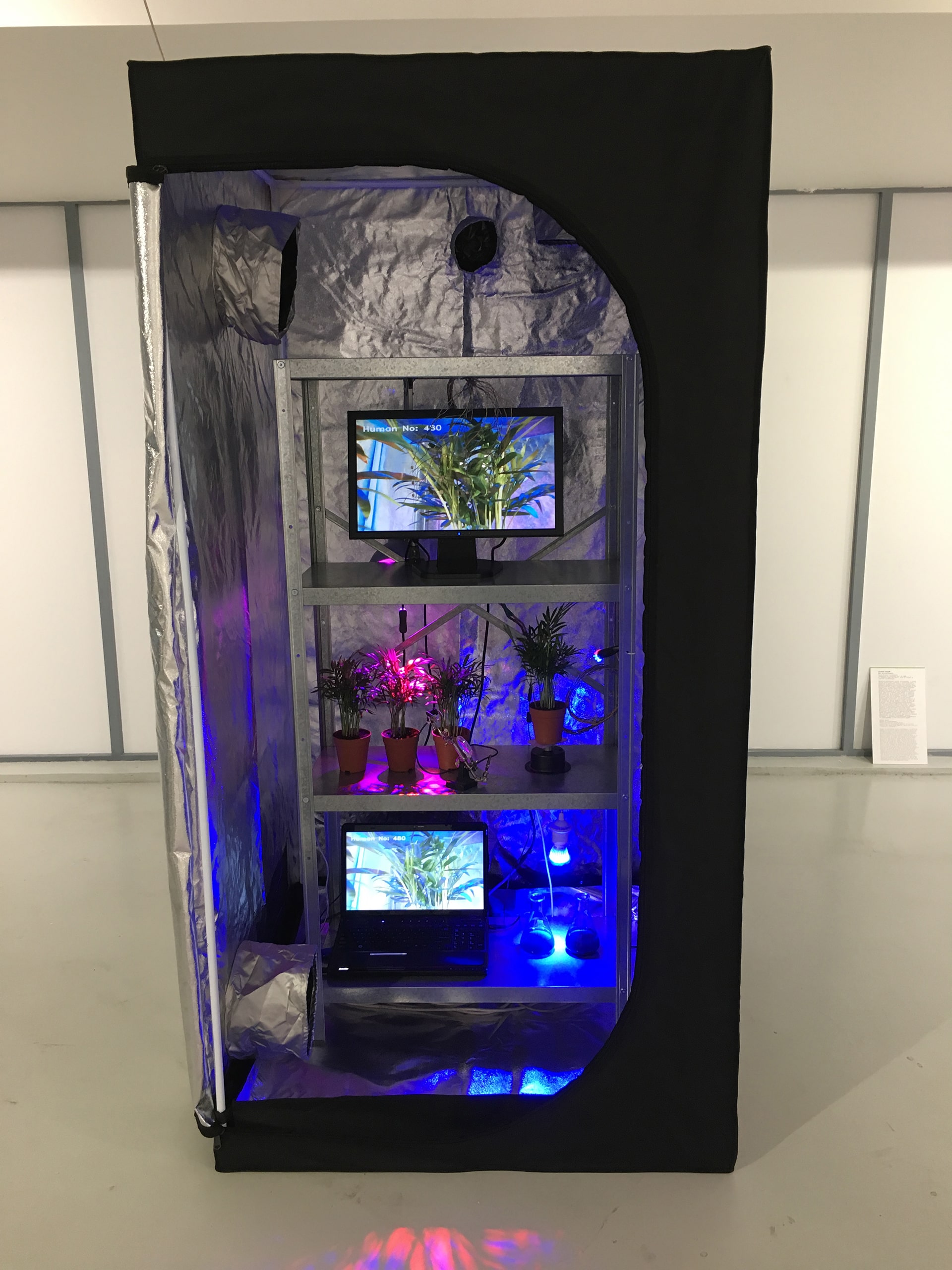 The Garden of Intelligence